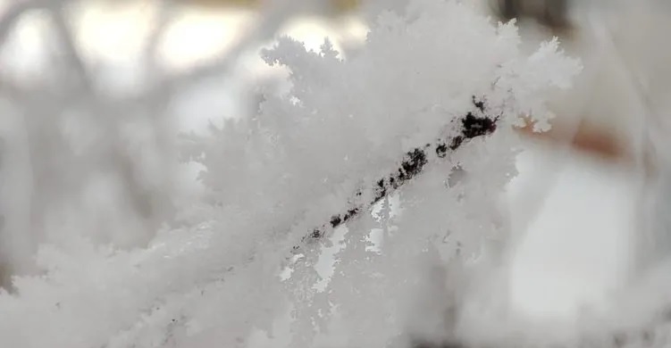 Erzurum’da hava buz kesti