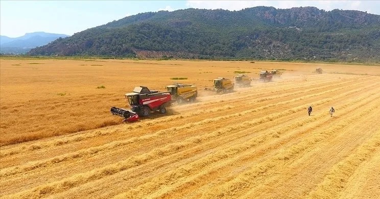 Tarımsal girdi fiyat endeksi açıklandı!