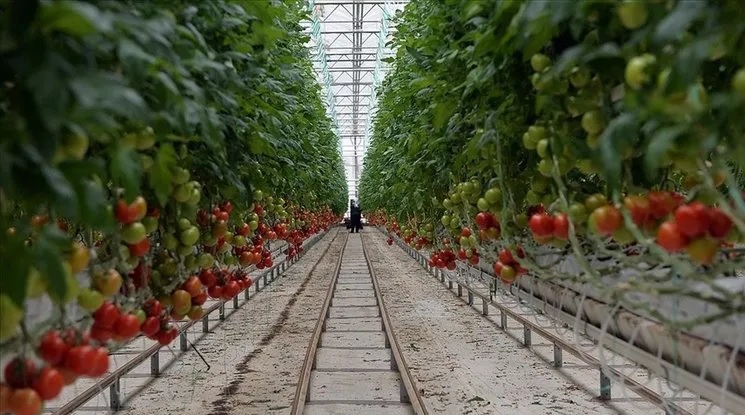 Bakanlık çiftçiler için yeni sistemi hayata geçiriyor! Tarih verildi