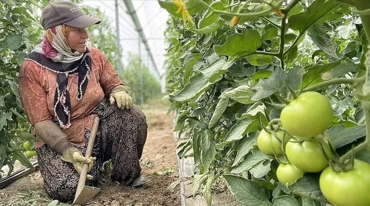 Tarım ve Orman Bakanı