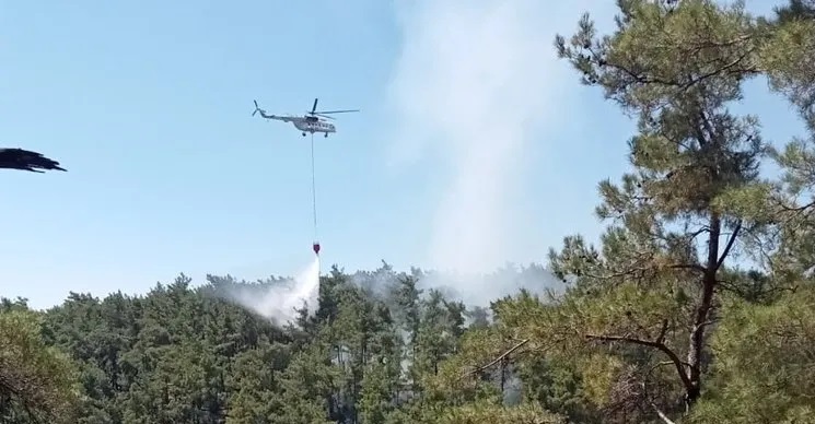 Muğla çıkan orman yangını büyümeden söndürüldü