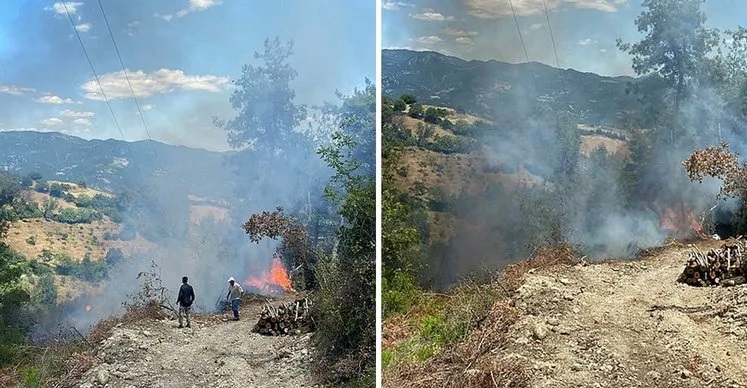 Osmaniye’de çıkan orman yangını söndürüldü