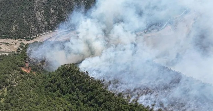 Karabük’te orman yangını