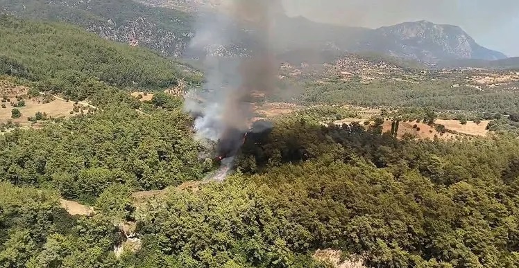 Muğla’nın Milas ilçesinde orman yangını