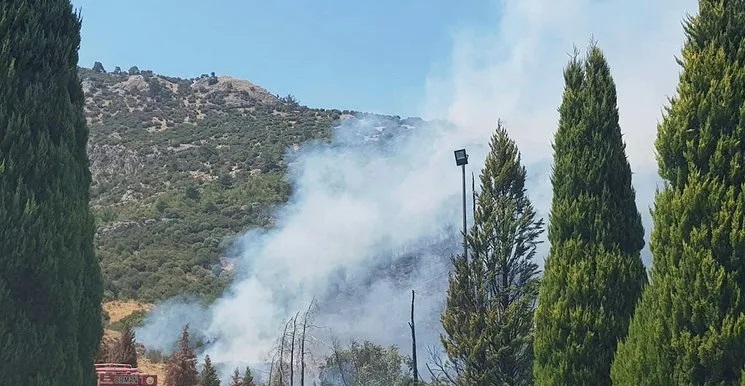 İzmir’de orman yangını: Havadan ve karadan müdahale ediliyor