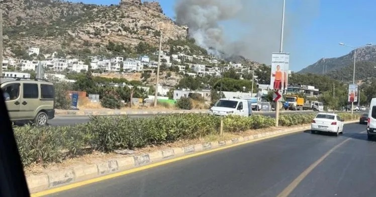 Bodrum’da makilik alanda yangın çıktı