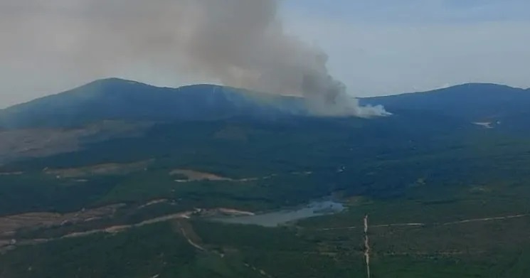 Yalova’da ormanlık alanda yangın!