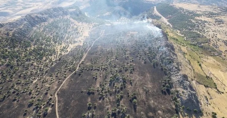 Adıyaman’da çıkan örtü yangını ormana sıçramadan söndürüldü