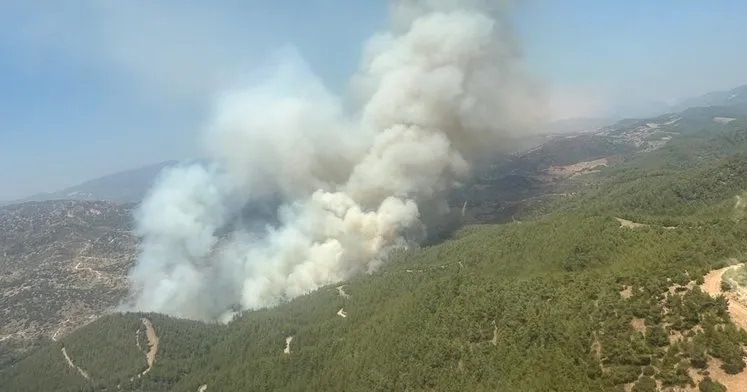 Muğla’daki iki orman yangını rüzgarın etkisiyle büyüyor!