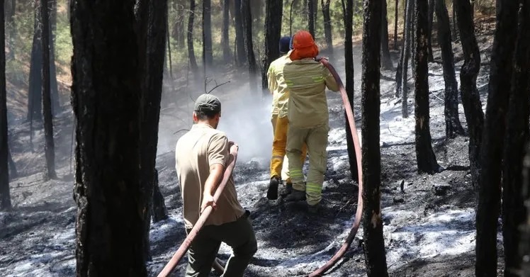 Muğla’daki yangında soğutma çalışmaları sürüyor