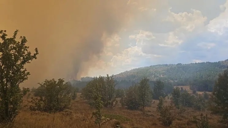 Ankara’daki orman yangını Bolu’ya sıçradı!