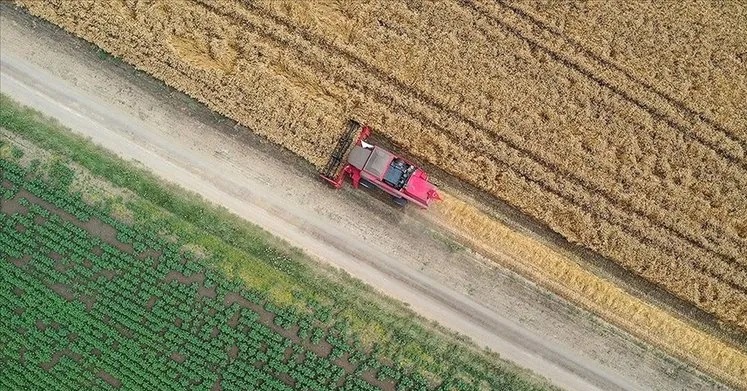 Tarımda verimliliği artıracak “üretim planlaması” OVP’de