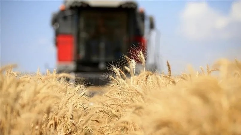 Küresel gıda fiyatları ağustosta sınırlı düşüş kaydetti