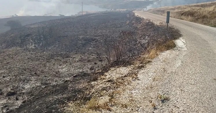 Balıkesir’de yangın: 100 dönüm alan zarar gördü!