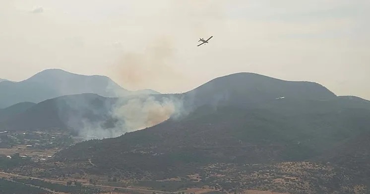 İzmir’de orman yangını!