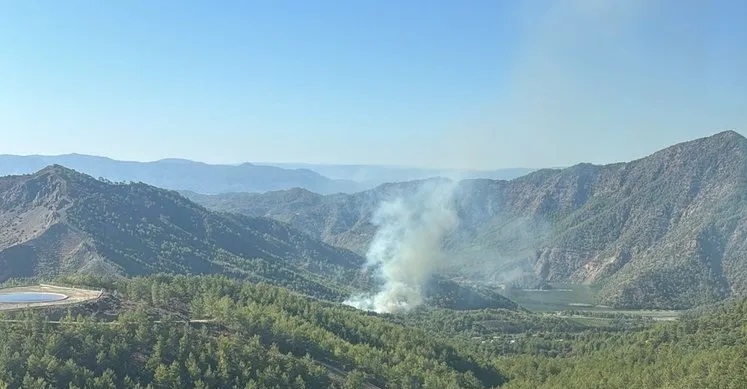 Muğla Dalaman’da orman yangını!