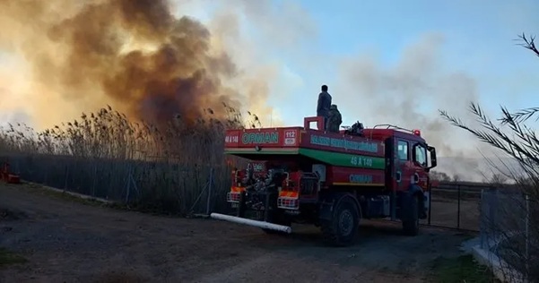 Muğla’nın Köyceğiz ilçesi Gedova Adası mevkiindeki sazlık alanda çıkan yangına,