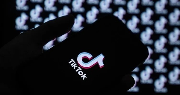 Arnavutluk Hükümeti, Çin merkezli sosyal medya platformu TikTok'u ülkede bir