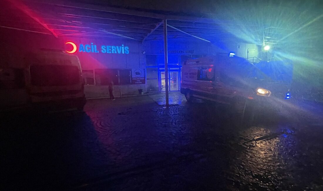 İlçeye bağlı Büyük Çatak köyünde Emre M. ile eşi Hazal